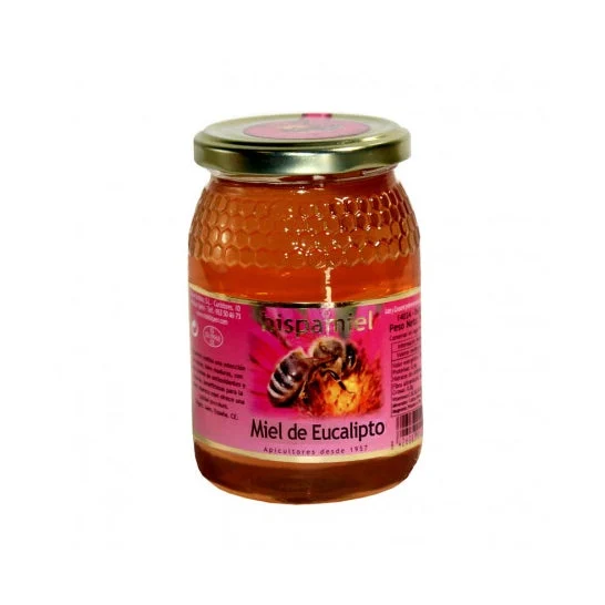 Hispamiel Miele di eucalipto 500g