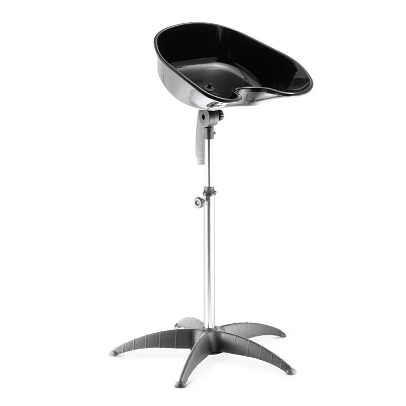Lavaggio Portatile Parrucchiere Gabbiano Ft35
