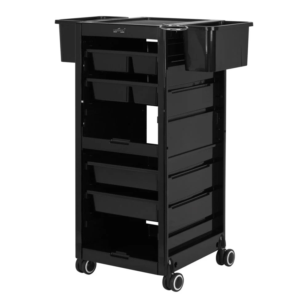 Aiutante Parrucchiere Gabbiano Nero 68A