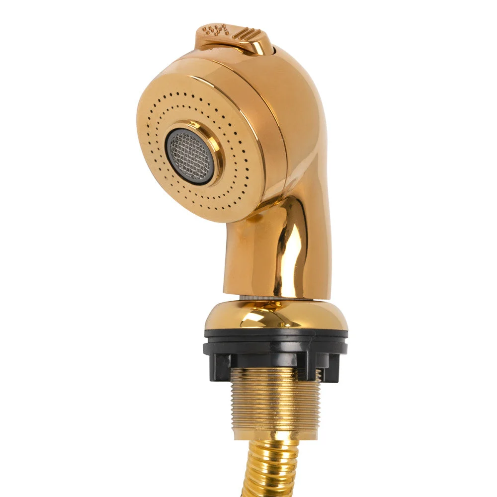 Lavaggio Parrucchiere Handset Oro Grande