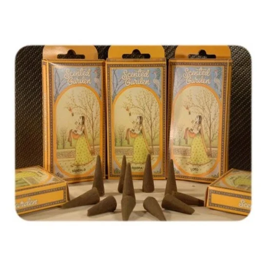 Cono d'incenso Muschio Radhe Shyam Giardino profumato 1pc