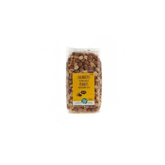 Terrasana Sciroppo d'acero puro grado C 1L