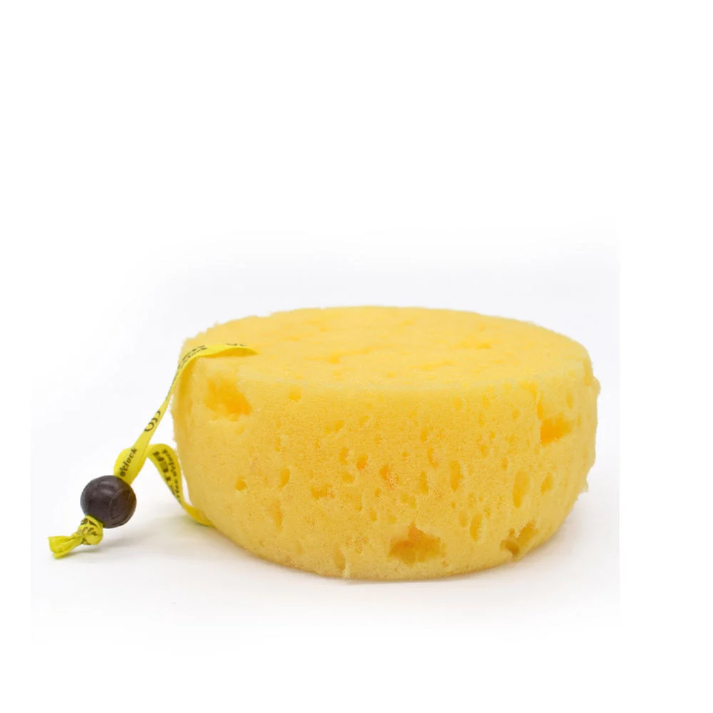 SPONGE foam