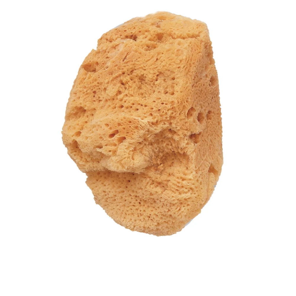 SPONGE natural sea