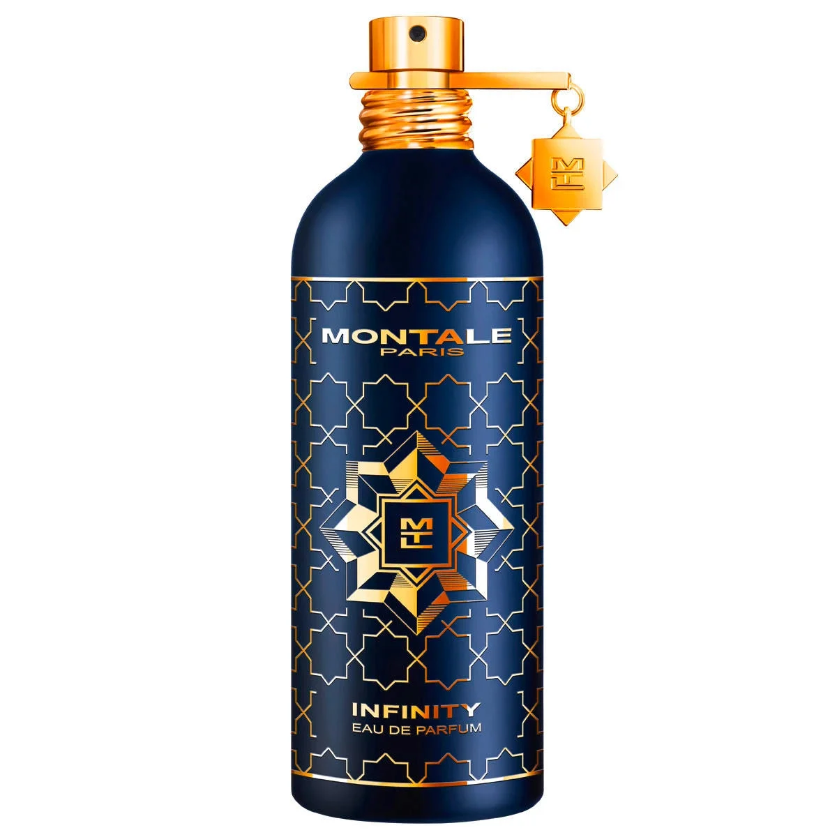 Montale Infinity Eau de Parfum 100 ml