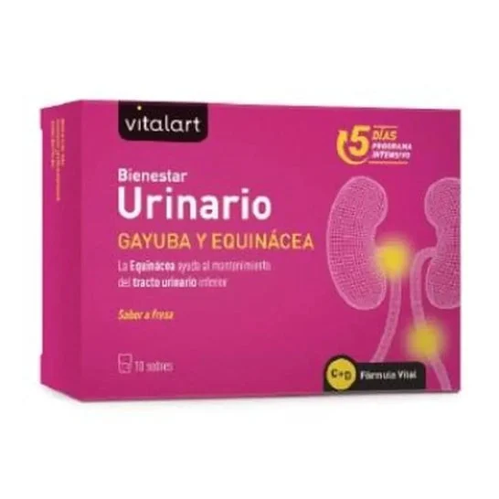 Vitalart Vitalart Bienestar Urinario 10 Sobres
