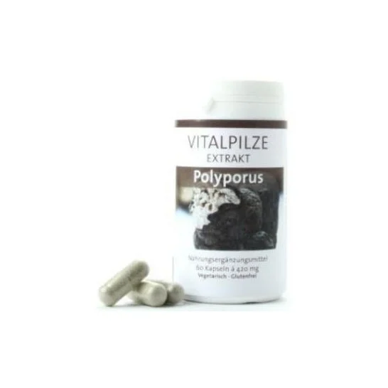 Pilze Wolhrab Polyporus 60caps