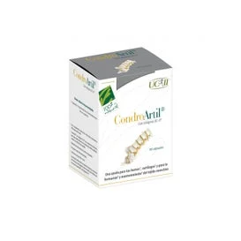 100% Naturale ChondroArtil UCII 90caps