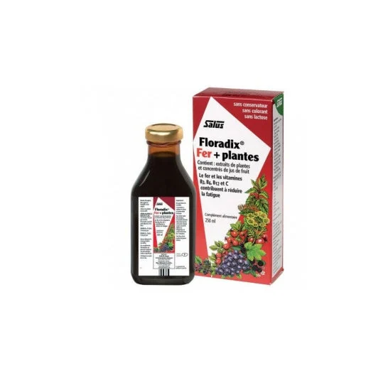 Floradix® Ferro e vitamine 250ml