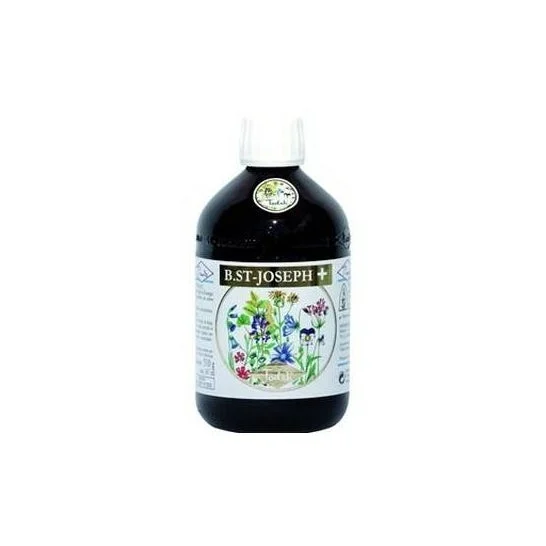 Pianto San Joseph Plus Todah Bio 510g