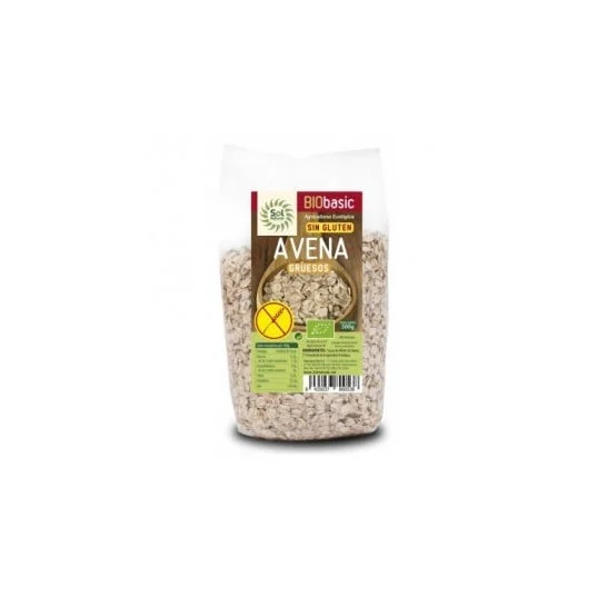 Solnatural Fiocchi d'avena S/G Stone Int Bio 150g