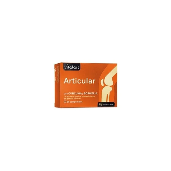 Vitalart Articolare 60comp