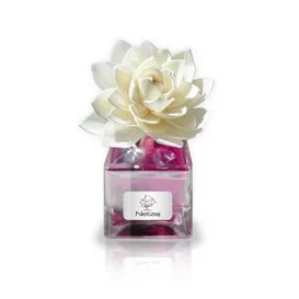 Netzaj Deodorante Ambienti Fiori Citronella 100ml
