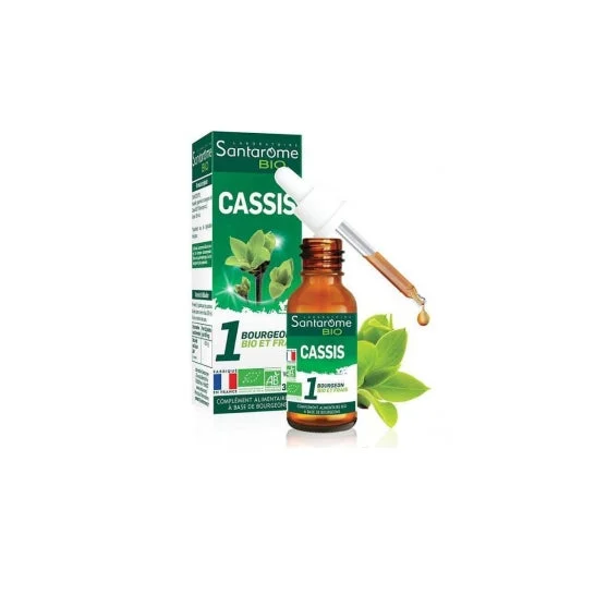 Santarome Bourg Unità Cassis U51