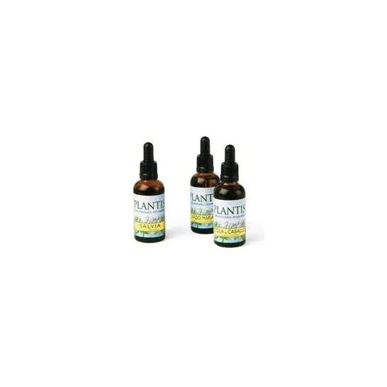 Plantis Ginkgo 50ml