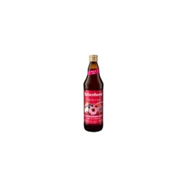 Rabenhorst Protecting Zumo con Zinc 750ml