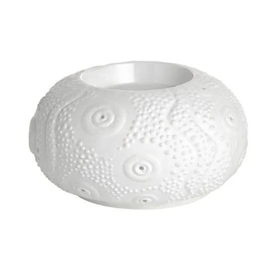 Puressentiel Diffuseur Calvi 1ut