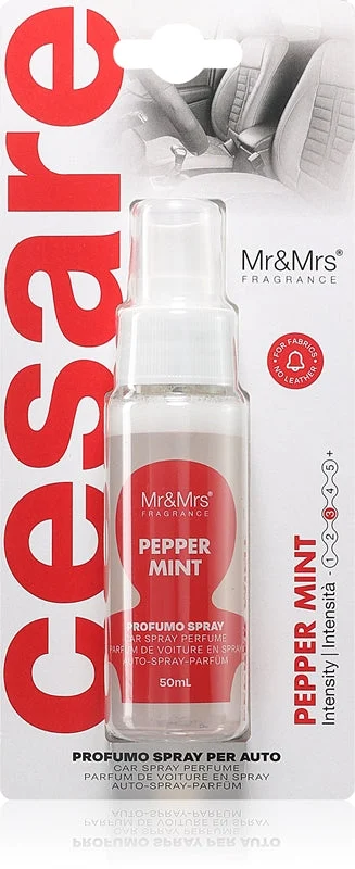 Mr & Mrs Fragrance Cesare Peppermint deodorante per automobili 50 ml